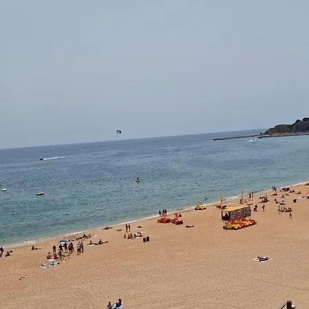 Ribeiro 阿尔布费拉